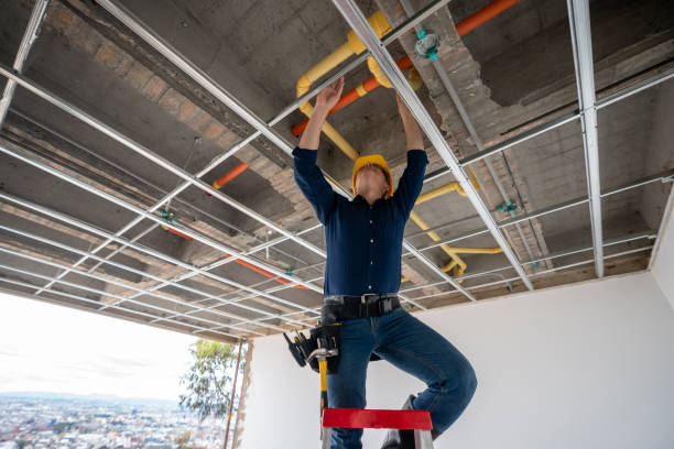 Best Residential Plumbing Services  in St Paul, MO