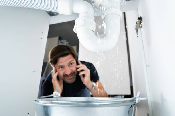 Best Plumbing Inspection Services  in St Paul, MO