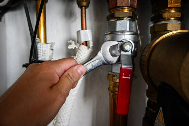 Best Plumbing Inspection Services  in St Paul, MO